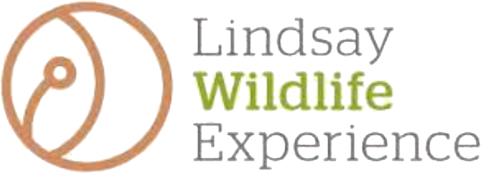 lwe lindsay wildlife experience